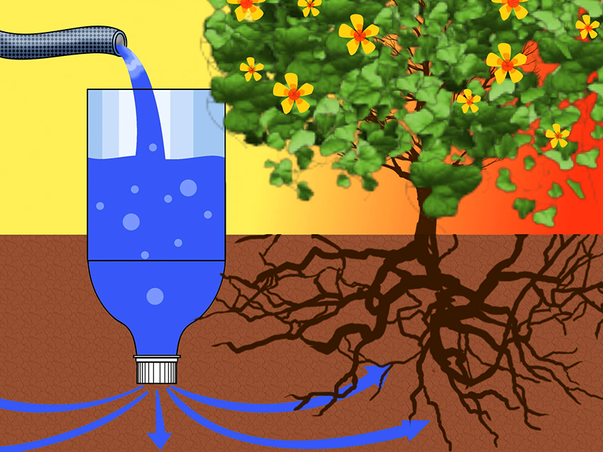 Принцип орошения растений с помощью пластиковых бутылок